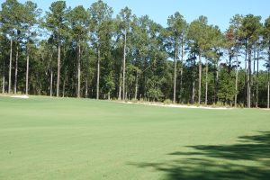 Broomsedge 12th Approach